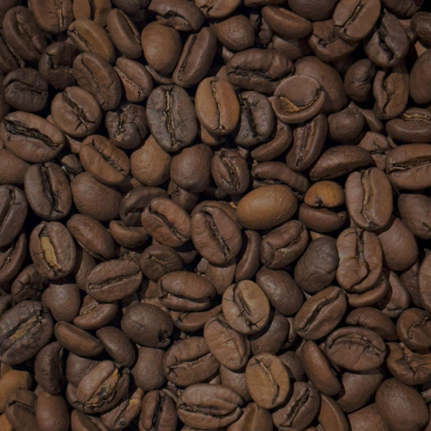 Guatemala Santa Rosa Blue Ayarza Natural 로스팅 원두 클로즈업