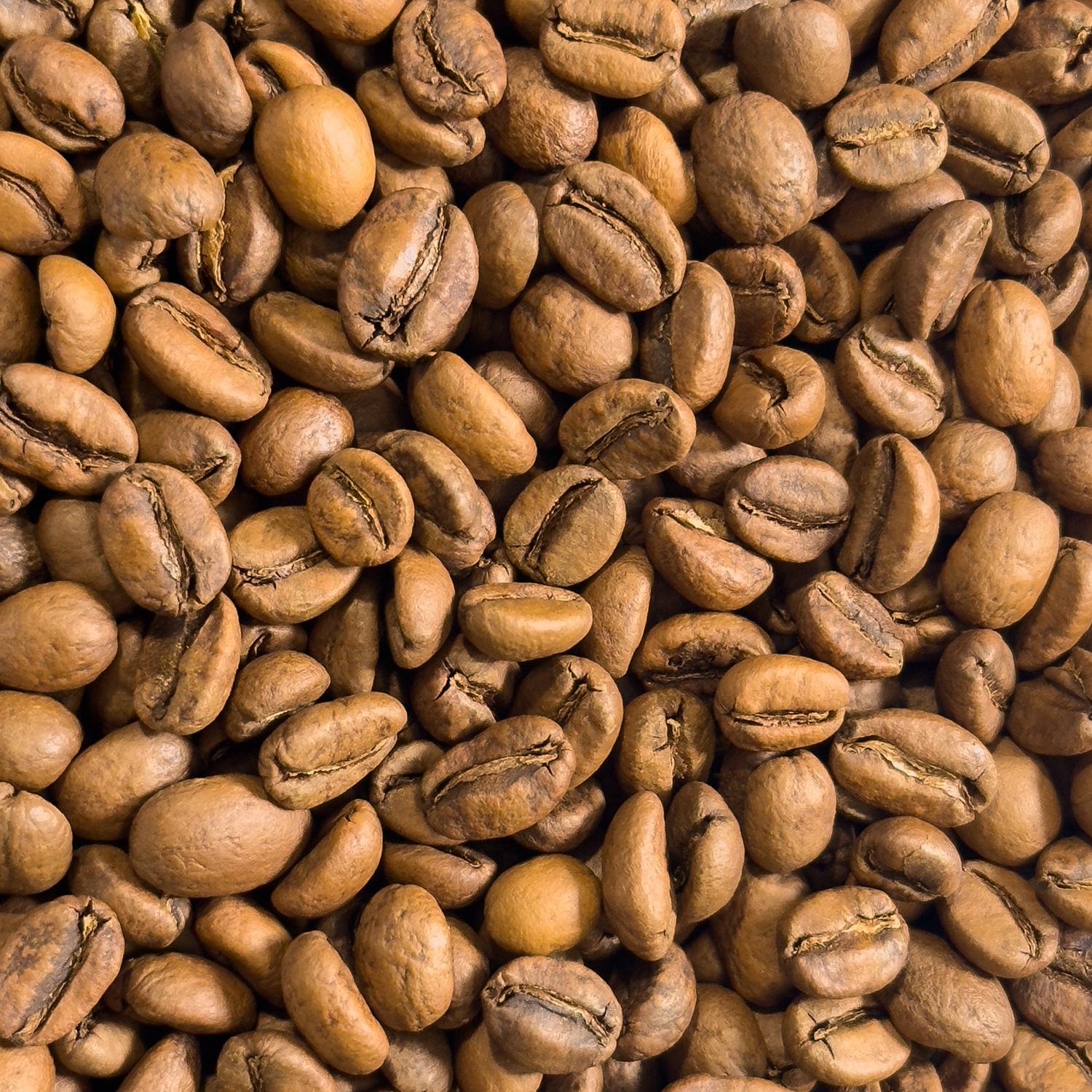 Ethiopia Guji Uraga Terbe Guduba G1 Natural 로스팅 원두 클로즈업